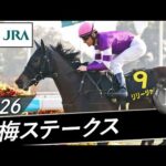 2026年 紅梅ステークス（L） | リリージョワ | JRA公式