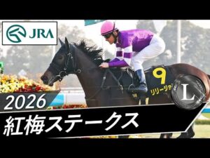 2026年 紅梅ステークス（L） | リリージョワ | JRA公式