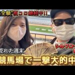 【シルクロードS・根岸S】京都競馬場実践！一撃大回収！7コロ成功中の収益ゼンツ企画、今回は…！？