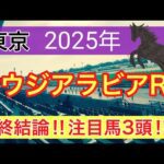 【サウジアラビアロイヤルカップ2025】蓮の競馬予想(最終結論)