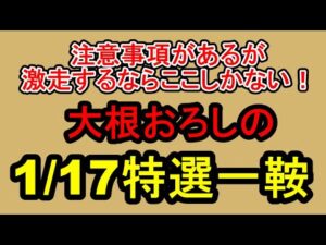 【競馬予想】1月17日の特選一鞍【大根おろし】