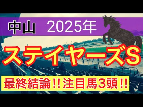 【ステイヤーズステークス2025】蓮の競馬予想(最終結論)〜京阪杯はエーティーマクフィ推奨