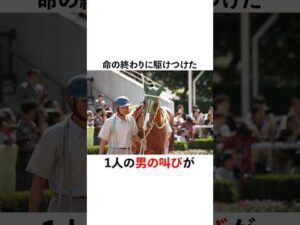 厩務員・加茂さん✖️サイレンススズカ #競馬 #中央競馬予想 #中央競馬 #horse #競馬予想 #地方競馬