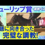 「中２週でも疲れなし！」ビップデイジー、マイエレメント、 ナムラクララ・・・競馬エイト・高橋賢司トラックマンの調教解説＜チューリップ賞(ＧⅡ)＞