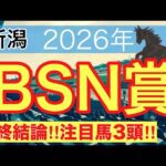 【BSN賞2026】蓮の競馬予想(最終結論)〜直近競馬予想20戦中14戦で推奨馬2頭以上馬券内に好走