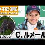 【菊花賞2025】エネルジコ・クリストフ・ルメール騎手「距離は全く問題ない」「スタミナがあり、じわじわ加速し、ゴールまで伸びる」《JRA共同会見》