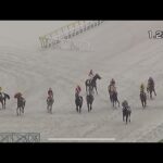 7/1 大井競馬 6レースの珍しいアクシデント