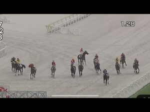 7/1 大井競馬 ６レースの珍しいアクシデント