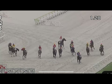 7/1 大井競馬 6レースの珍しいアクシデント