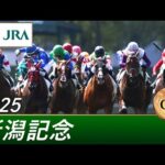 2025年 新潟記念（GⅢ） | 第61回 | JRA公式