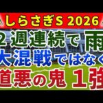 しらさぎステークス 2026 競馬YouTuber達が選んだ【◎確信軸】強いマイラーベタ買いでOK‼️