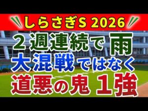 しらさぎステークス 2026 競馬YouTuber達が選んだ【◎確信軸】強いマイラーベタ買いでOK‼️