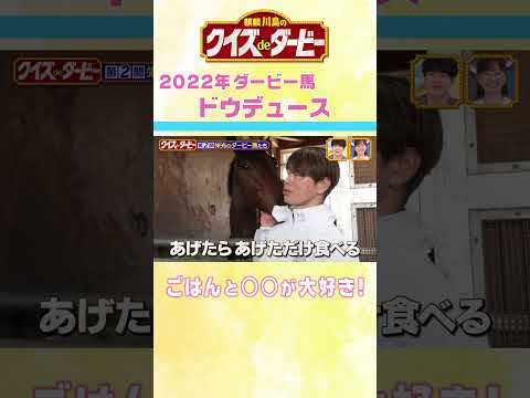 麒麟川島のクイズdeダービー #競馬 #日本ダービー＃ドウデュース