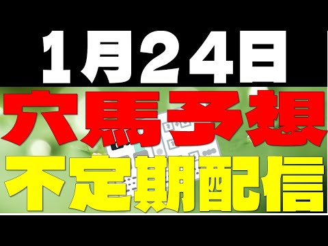 【競馬予想】１月２４日全レース穴馬予想（中央競馬）