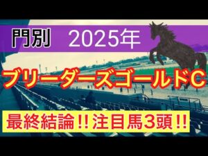 【ブリーダーズゴールドカップ2025】蓮の地方競馬予想(最終結論)