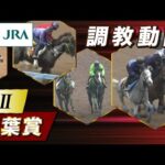 【調教動画】2025年 青葉賞|JRA公式