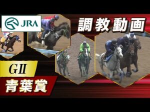 【調教動画】2025年 青葉賞｜JRA公式