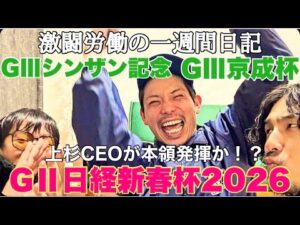 【日常】勝負のG2日経新春杯＆G3京成杯までの１週間日記。