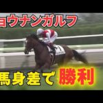 【函館競馬】2億円超の良血馬ショウナンガルフが7馬身差のデビュー勝ち――5Rメイクデビュー函館 叔母にフィリーズレビュー勝馬のショウナンザナドゥら