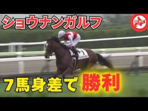 【函館競馬】2億円超の良血馬ショウナンガルフが7馬身差のデビュー勝ち――5Rメイクデビュー函館 叔母にフィリーズレビュー勝馬のショウナンザナドゥら