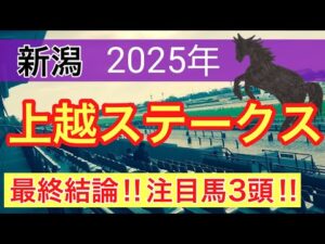【上越ステークス2025】蓮の競馬予想(最終結論)〜レパードSは11人気ヒルノハンブルク穴馬推奨