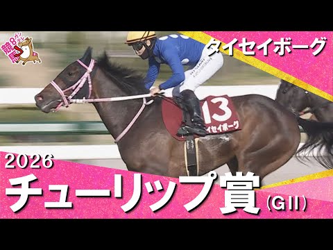 2026年チューリップ賞(ＧⅡ) タイセイボーグ　実況：川島壮雄【カンテレ公式】