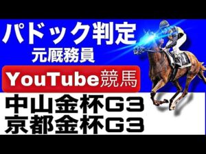中山金杯2026完全予想!今年の注目馬とパドックを徹底解説!