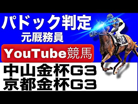 中山金杯2026完全予想!今年の注目馬とパドックを徹底解説!