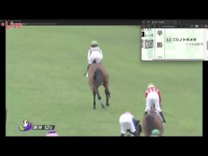 無職男の競馬ライブ