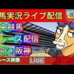 【中央競馬ライブ中継】全レース中継 東京 阪神【パイセンの競馬チャンネル】