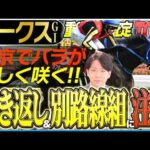 【オークス2026】桜の女王スターアニスの適性に疑問符？樫の女王戴冠に最も近いのは〝バラ一族〟のあの馬(坂上明大の重賞血統査定)《東スポ競馬》