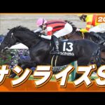 【レース映像】中山11R サンライズS｜ウインアイオライト（丹内祐次）｜ウイニング競馬