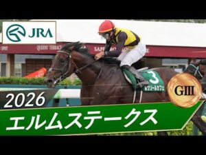 2026年 エルムステークス（GⅢ） | ルクソールカフェ | JRA公式