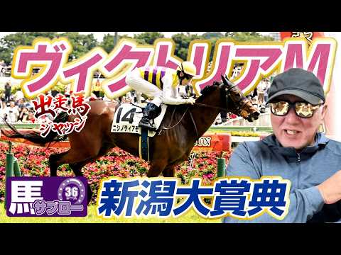 【2026 ヴィクトリアM】【2026 新潟大賞典】出走馬ジャッジ