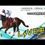 阪神アーバン競馬(HUK)園田競馬場ライブ 2026/8/28