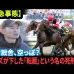 【競馬激震】スティンガーグラス転厩で大激震！木村厩舎から〇〇厩舎へ移籍の真実。エムズが『ブチギレ確定』した理由と競馬ファン衝撃の反応集