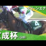 2026年京成杯(ＧⅢ) グリーンエナジー【カンテレ公式】