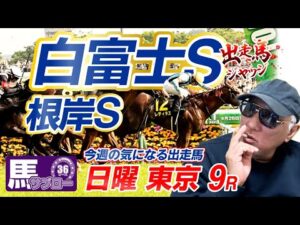 【2026 根岸S】【2026 白富士S】出走馬ジャッジ
