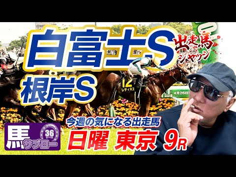 【2026 根岸S】【2026 白富士S】出走馬ジャッジ