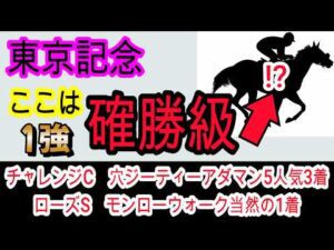 【競馬予想】東京記念2026　グリューヴルムは危険！？　大井2400mなら鉄板級に強い馬がいます！！