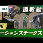 【調教動画】2025年 オーシャンステークス｜JRA公式