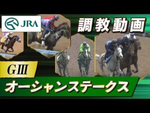 【調教動画】2025年 オーシャンステークス|JRA公式