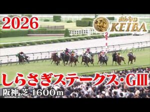 【しらさぎステークス・GⅢ】しらさぎS 阪神 芝 1600m 2026 レース  【みんなのKEIBA】