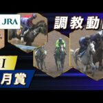 【調教動画】2025年 皐月賞|JRA公式