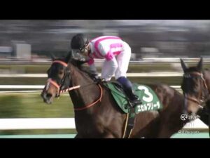 【レース映像】中山11R 中山牝馬ステークス｜エセルフリーダ（武藤雅）｜ウイニング競馬