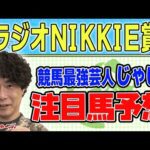 【競馬】ラジオNIKKEI賞でのじゃいの予想【勝ち馬予想】