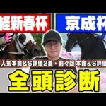 【日経新春杯＆京成杯】３週続けてS評価好走へ！6年連続プラス男が狙える穴馬から実力馬まで全頭徹底解説！