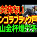 【中山金杯予想】万馬券狙えます！アンゴラブラック戸崎圭太は絶対来ない！カネラフィーナも絶対来ない！メンバー間の能力は拮抗している！来るのはこの爆穴だ！！2026年中山金杯予想動画【競馬ゆっくり】