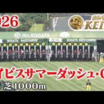 【アイビスサマーダッシュ・GⅢ】アイビスSD 新潟 芝 1000m 2026 レース  【みんなのKEIBA】