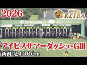 【アイビスサマーダッシュ・GⅢ】アイビスSD 新潟 芝 1000m 2026 レース  【みんなのKEIBA】